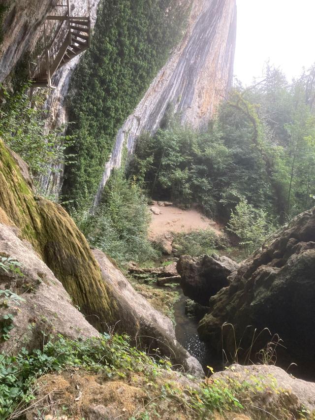 Paysage de montagne et de forêt